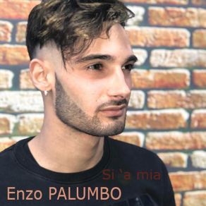 Download track Ormai Si Femmena Enzo Palumbo