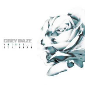 Download track What's In The Eye (Stripped) Grey Daze