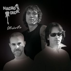 Download track Mienten Nacho's Dick