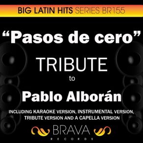 Download track Pasos De Cero (In The Style Of Pablo Alboran) [Karaoke Version] Brava HitMakers