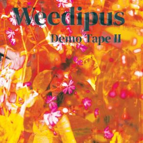 Download track Husky Weedipus