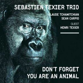 Download track La Fin Du Voyage Sebastien Texier Trio