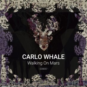 Download track Allea Carlo Whale