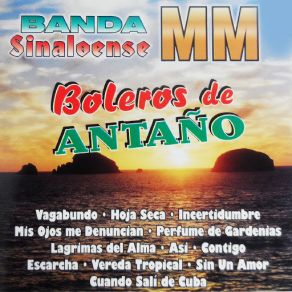 Download track Lagrimas Del Alma Banda Sinaloense MM