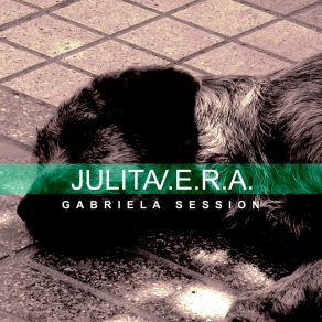 Download track Conversaciones De La Tarde (Con Mi Hijo Clemente) Julita V. E. R. AMi Hijo Clemente