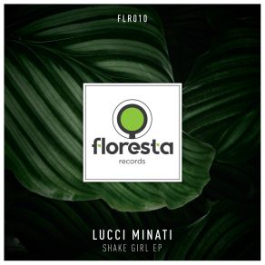 Download track Like This (Extended Mix) Lucci Minati