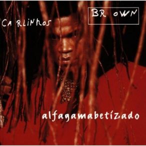 Download track Encontrei Carlinhos Brown