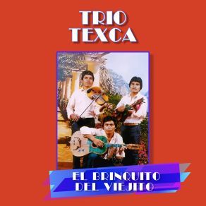 Download track La Cumbia Del Violín Trio Texca