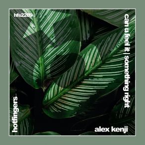 Download track Something Right (Extended Mix) Alex Kenji