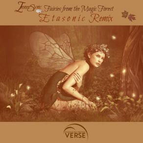 Download track Fairies From The Magic Forest (Etasonic Remix) InnerSync