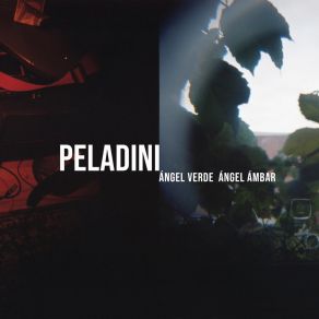 Download track Hasta Luego Peladini