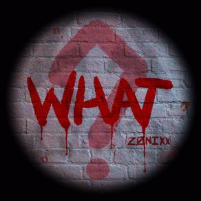 Download track WHAT? (ORIGINAL MIX) Zonixx