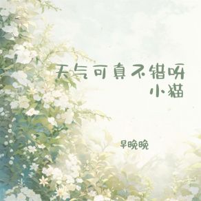 Download track 天气可真不错呀小猫 早晚晚