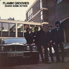 Download track Don't You Lie To Me The Flamin' Groovies