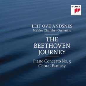 Download track Fantasia In C Minor, Op. 80 