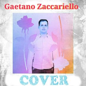 Download track Niente Di Più Gaetano Zaccariello