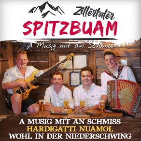 Download track Wohl In Der Niederschwing Zillertaler Spitzbuam