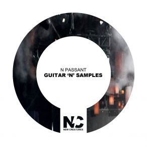 Download track Guitar 'N' Samples (Lorenzo Righini Disco Mix) N PassantLorenzo Righini