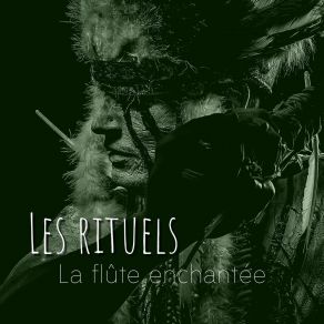 Download track Native Stories - La Flûte Enchantée Club De Détendre Amérindien