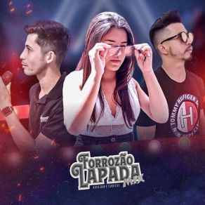 Download track Felina Forrozão Lapada Mix