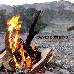 Download track You Need Your Space David Dondero