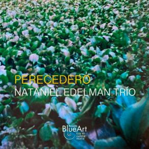 Download track Un Recuerdo Nuevo Nataniel Edelman