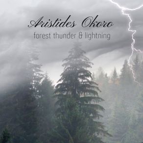 Download track Soft Rain Clearing Skies Aristides Okoro