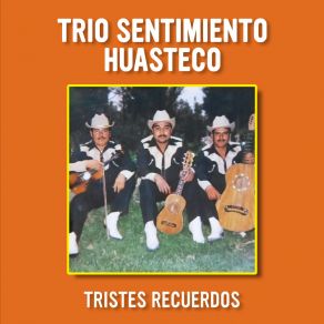 Download track Grítenme Piedras Del Campo (Remasterizado 2024) Trío Sentimiento Huasteco