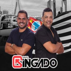 Download track Vinhos E Lengeries - Cover Grupo Gingado