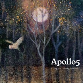 Download track The Night Apollo5