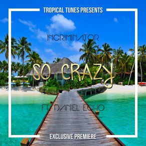 Download track So Crazy Daniel Echo, Incriminator