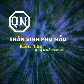 Download track Thân Sinh Phụ Mẫu (Quý Nhỏ Remix, Instrumental) Quý NhỏThe Instrumental