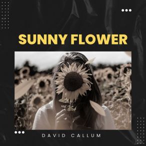 Download track Shuttle Winged David Callum