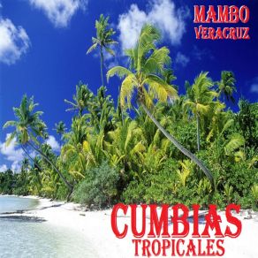 Download track Hola Mi Jente Cumbias Tropicales