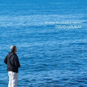 Download track Delicious Silence David Dzubay