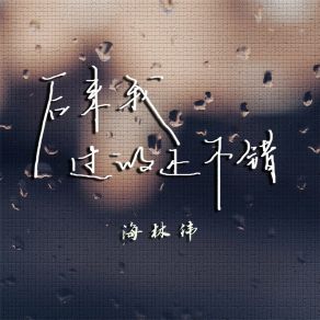 Download track 后来我过的还不错 (伴奏) 海林伟