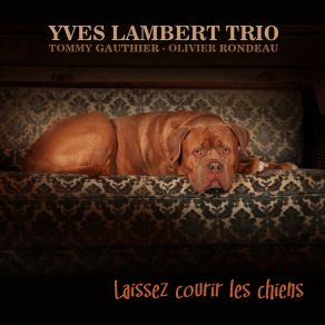 Download track Ma Déraison Yves Lambert Trio