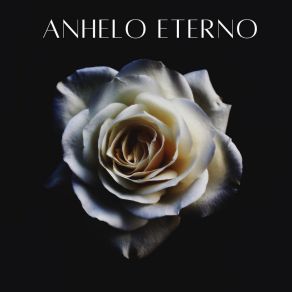 Download track Nunca Me Dejes De Amar Anhelo Eterno