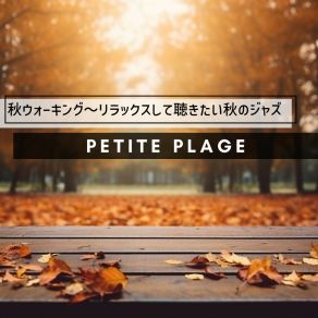 Download track Serenade Of The Morning Serenity (Key Db Ver.) Petite Plage