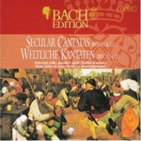 Download track Schweigt Stille, Plaudert Nicht BWV 211 - IX Recitativo (Tenore) Johann Sebastian Bach