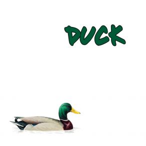 Download track DUCK Nimbaso