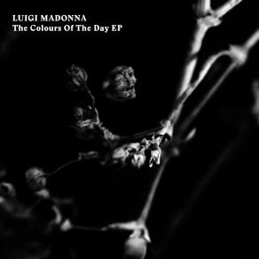 Download track Dark Yellow Luigi Madonna