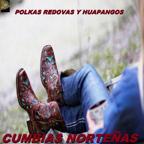 Download track El Fronterizo Cumbias Nortenas