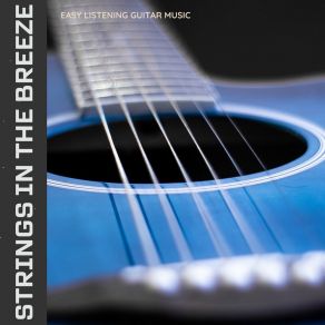 Download track Dreamy Serenade Easy Listening Guitar Music