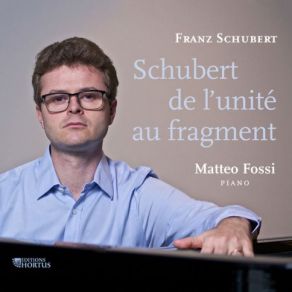 Download track Wanderer-Fantasie In C Major, Op. 15 D. 760 Matteo Fossi