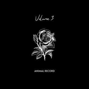 Download track Amami Quando Puoi Animal Record