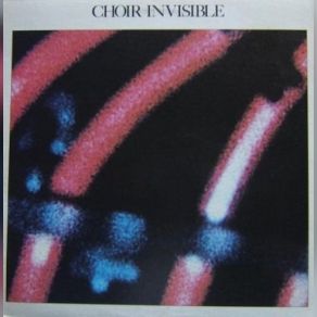 Download track Private Life Choir Invisible