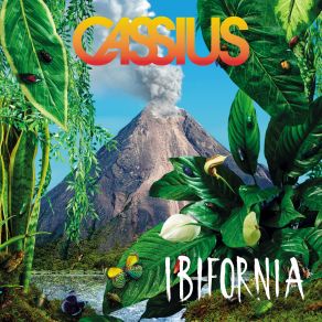 Download track Ibifornia Cassius