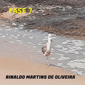 Download track Os Dois Lados Da Mesma História Rinaldo Martins De Oliveira