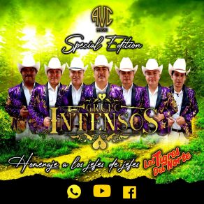 Download track Cariño Donde Andaras Grupo Intensos